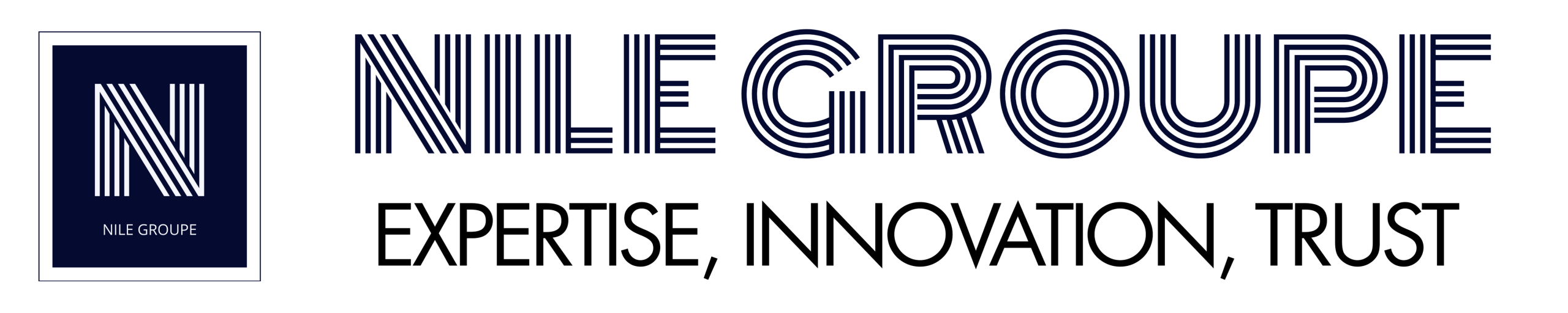 nilegroupe.com